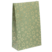 Sac en papier grand vert