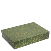 Pure Box A4 +, étoile verte