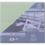 1001 Pkg 5 Tischk. mint