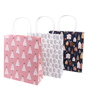 Sacs cadeaux light coral assortis
