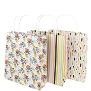 Sacs cadeaux multicolor assortis